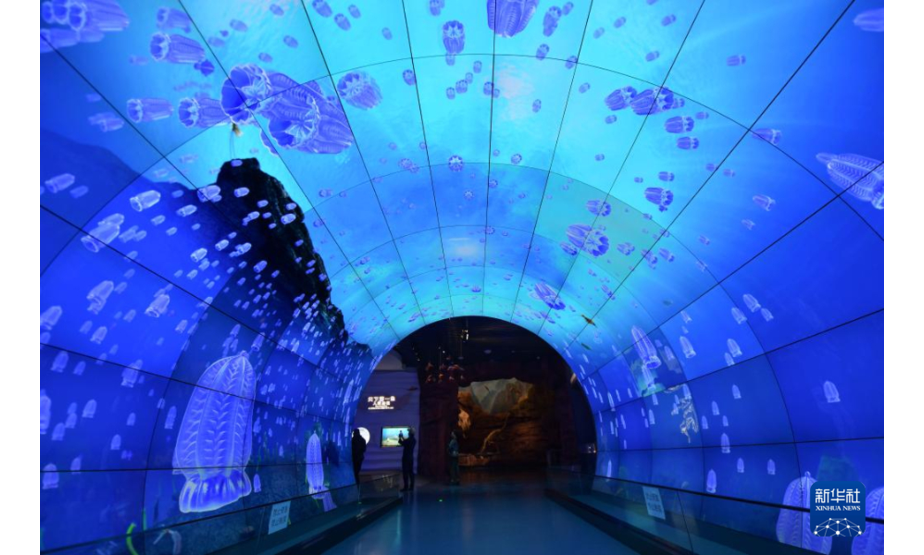 10月13日在澄江化石地世界自然遗产博物馆拍摄的寒武纪海底隧道。新华社记者 陈欣波 摄