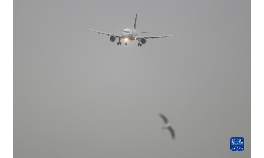 11月30日，一架布鲁塞尔航空的航班即将降落在比利时布鲁塞尔附近的扎芬特姆机场。

　　新冠病毒奥密克戎变异株正在全球引发高度关注。世界卫生组织11月29日说，新冠变异病毒奥密克戎毒株在全球范围造成感染病例激增的风险“非常高”，并可能给部分地区带来“严重后果”。目前，多个国家和地区陆续通报发现奥密克戎毒株感染或疑似病例。新华社记者 郑焕松 摄