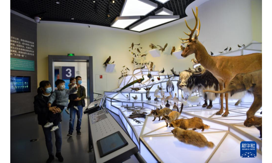 10月14日，家长带着小朋友在澄江化石地世界自然遗产博物馆参观。新华社记者 陈欣波 摄