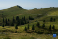 這是9月8日在斯洛文尼亞拍攝的維利卡普拉尼那高地牧場景色。<br/><br/>　　位于斯洛文尼亞北部的維利卡普拉尼那高地是歐洲現存最大的牧民定居點，早在中世紀已有牧民定居。每到夏季，該地獨特的高原牧場風景和傳統的牧民生活習俗吸引大批徒步旅行愛好者到此觀光。<br/><br/>　　新華社發（澤利科·斯特凡尼奇攝）