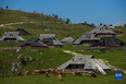 這是9月8日在斯洛文尼亞維利卡普拉尼那高地牧民定居點拍攝的傳統木屋和奶牛。<br/><br/>　　位于斯洛文尼亞北部的維利卡普拉尼那高地是歐洲現存最大的牧民定居點，早在中世紀已有牧民定居。每到夏季，該地獨特的高原牧場風景和傳統的牧民生活習俗吸引大批徒步旅行愛好者到此觀光。<br/><br/>　　新華社發（澤利科·斯特凡尼奇攝）