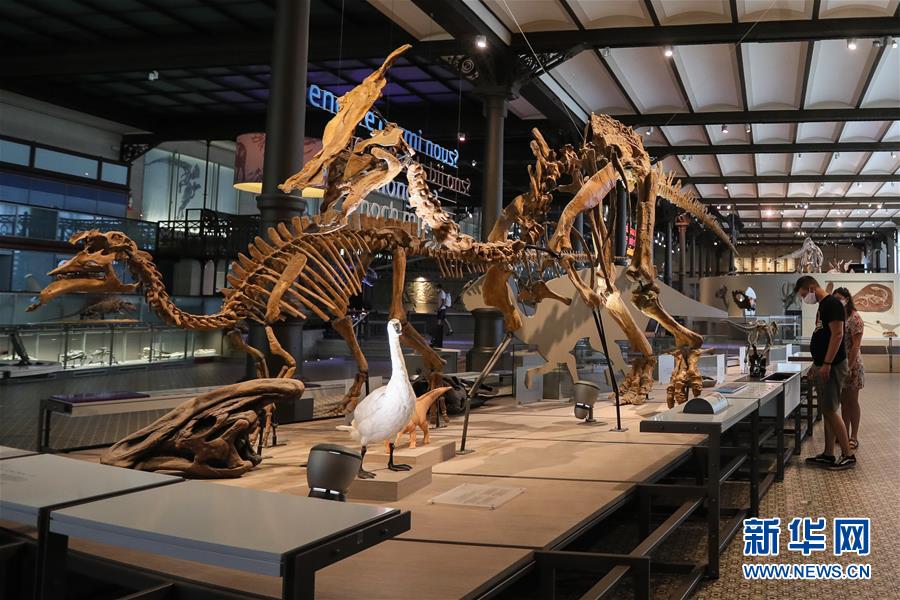 9月15日，在比利时布鲁塞尔的比利时皇家自然科学博物馆，人们参观恐龙模型。新华社记者 郑焕松 摄