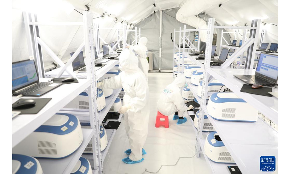 11月24日，工作人员在“猎鹰号”硬气膜实验室样本处理区作业。

　　夜幕降临，在大连体育中心羽毛球馆，一组五个舱位的“猎鹰号”硬气膜实验室里灯火通明，近百名工作人员在和时间赛跑，以最快速度找出新冠病毒的蛛丝马迹。

　　“猎鹰号”硬气膜实验室是专业用于新冠病毒核酸检测的快速移动实验室。从11月11日正式投入使用，该实验室已经参与了大连多轮大规模核酸检测工作。

　　核酸检测实验对温度、湿度、气压有严格要求。大连“猎鹰号”硬气膜实验室负责人朱保坤说，核酸检测是一个非常复杂的过程，需要实验人员付出艰苦的劳动，同时还需要保证实验的安全性、科学性。目前的“猎鹰号”优化了流程，一组五个舱位里包含一个共用的试剂准备区、两个样本处理区和两个核酸扩增分析区。按照流程先后，呈现从中心向两边分布的形态，使得整个实验室工作更加集成、高效。

　　新华社记者 姚剑锋 摄