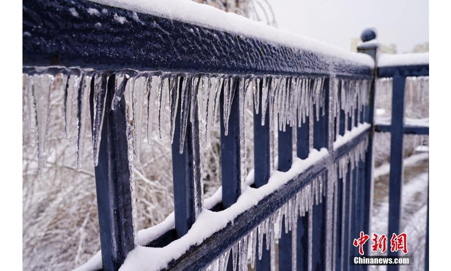 11月9日，哈尔滨市，栏杆下挂满了冰挂。近日，黑龙江省哈尔滨市，大雪之后，随着气温的上升，雨雪水迅速在各种植物与建筑上凝结成冰，形成哈尔滨历史上罕见的冰挂。 中新社发 孙汉仑 摄