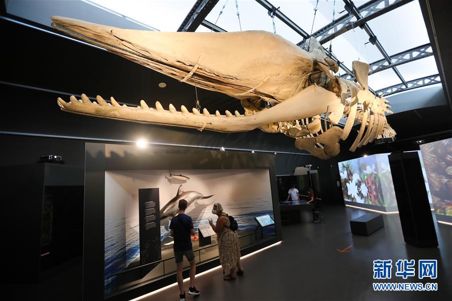 9月15日，人们在比利时布鲁塞尔的比利时皇家自然科学博物馆参观。新华社记者 郑焕松 摄