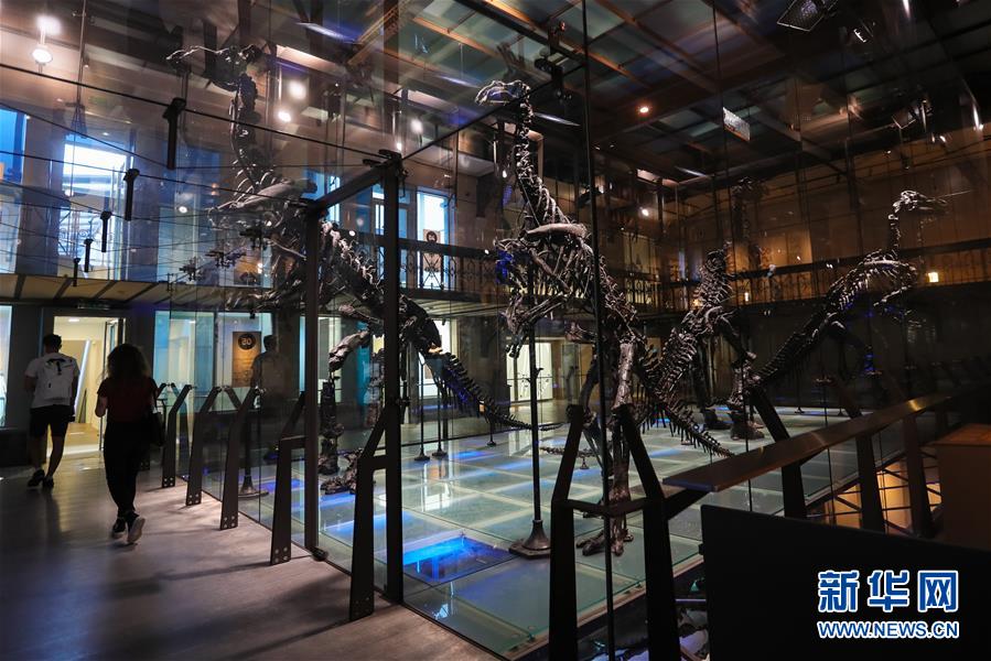 9月15日，在比利时布鲁塞尔的比利时皇家自然科学博物馆，人们经过禽龙骨骼展区。新华社记者 郑焕松 摄