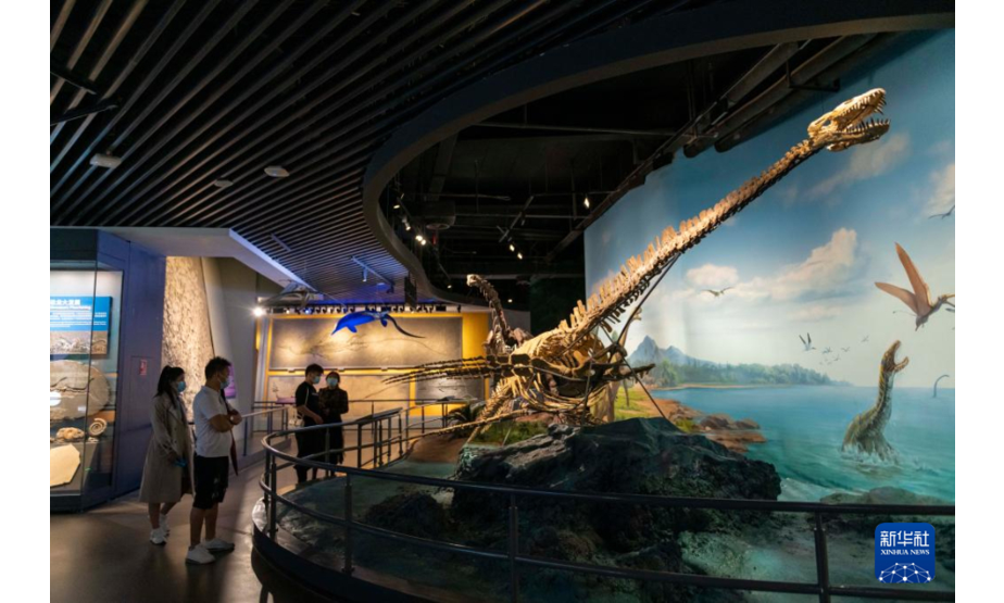 10月14日，游客在澄江化石地世界自然遗产博物馆参观蛇颈龙化石。新华社记者 陈欣波 摄