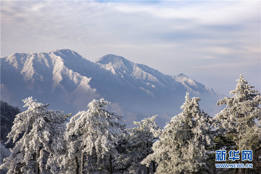 11月29日，入冬的第一场雪后，地处大别山腹地的安徽省六安市霍山县的大别山呈现出一派雪国风光。玉树琼枝晶莹剔透，仿佛进入了童话般的世界，令人流连忘返。图为11月29日，拍摄于霍山县大化坪镇青枫岭村。图为远眺白雪皑皑的大别山最高峰白马尖。11月29日，拍摄于霍山县大化坪镇青枫岭村。图为云雾中的四望山。新华网发（徐程 摄）
