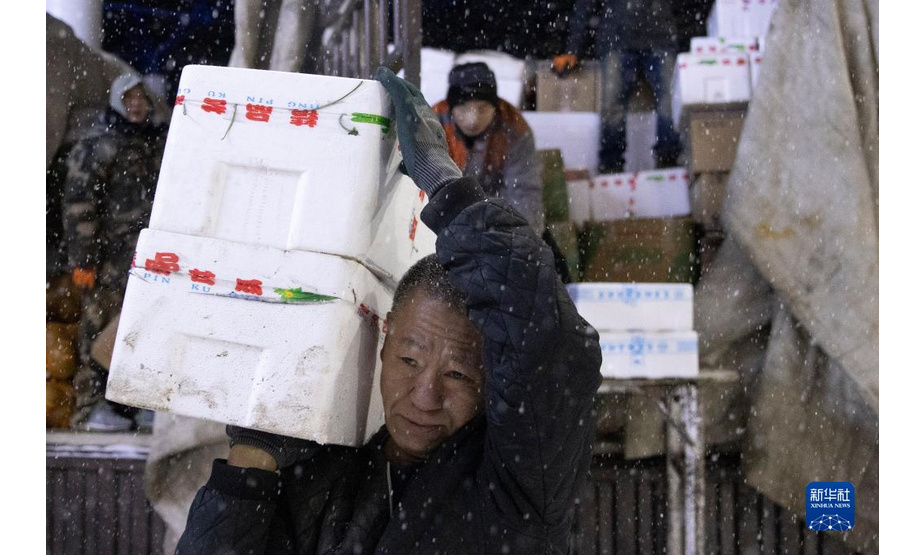 11月22日凌晨，在鸡西市一家大型蔬菜批发市场，工人们在搬运蔬菜。

　　黑龙江省鸡西市气象局于11月22日03时50分将暴雪橙色预警信号升级为暴雪红色预警信号。为保障当地物资运输畅通、居民出行便利，鸡西市相关部门迅速组织除雪力量，一夜无眠的“逆行者”在暴雪中用自己的辛苦付出，保障城市有序运转和居民正常生活。

　　新华社记者 张涛 摄