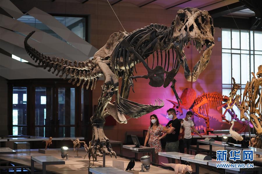9月15日，在比利时布鲁塞尔的比利时皇家自然科学博物馆，人们参观霸王龙模型。新华社记者 郑焕松 摄
