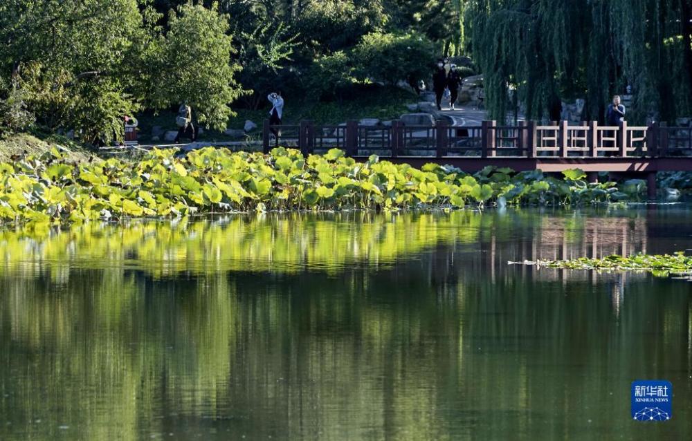 10月11日拍摄的圆明园一角。当日，北京秋高气爽，圆明园遗址公园水波潋滟，景色宜人。新华社记者 李欣 摄