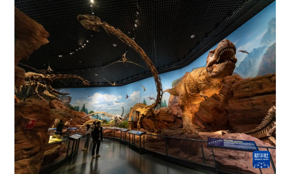 10月13日，游客在澄江化石地世界自然遗产博物馆参观。新华社记者 陈欣波 摄