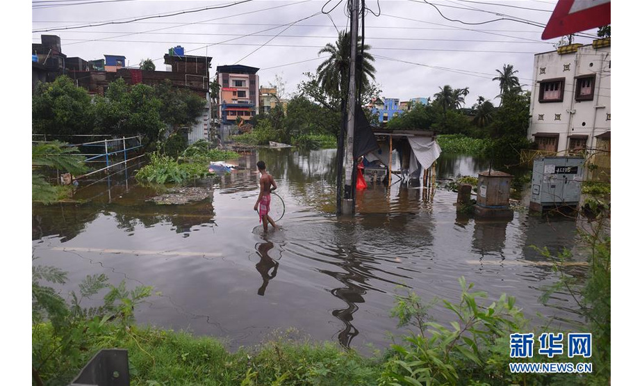 5月21日，在印度加尔各答，一名男子在雨后积水的地面捕鱼。新华社发