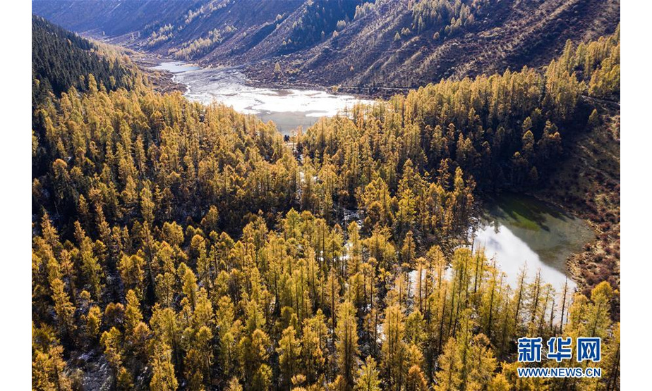 这是10月21日在玛嘉沟拍摄的彩林和湖泊（无人机照片）。 新华社记者 江宏景 摄