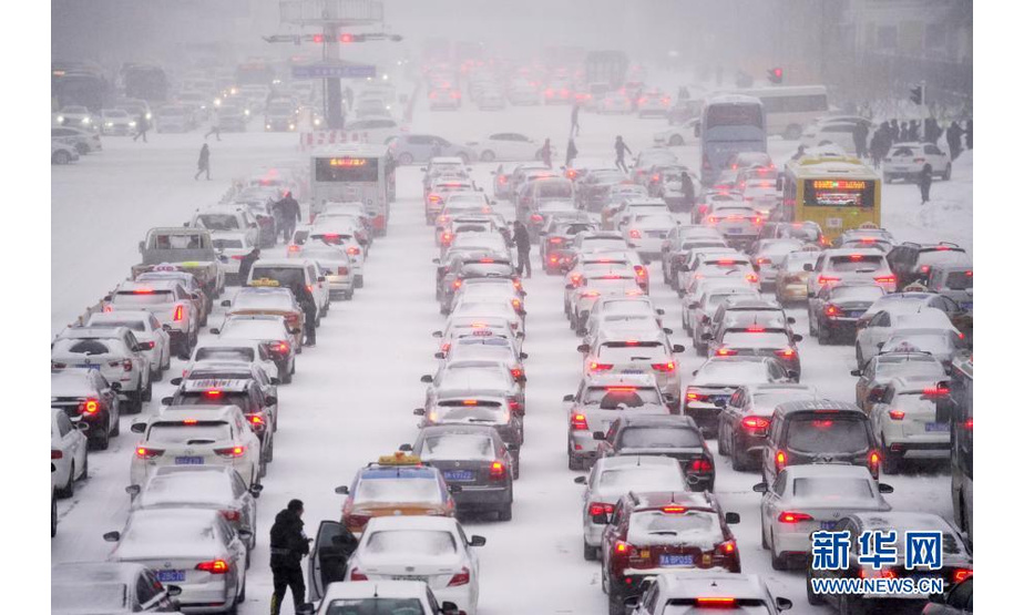 11月19日，在哈尔滨市中山路，车辆在雪中等待交通信号。

　　当日，黑龙江省多地遭遇暴雪天气。上午7时，黑龙江省气象局将气象灾害（暴雪）Ⅳ级应急响应提升为Ⅱ级。

　　新华社记者 王建威 摄
