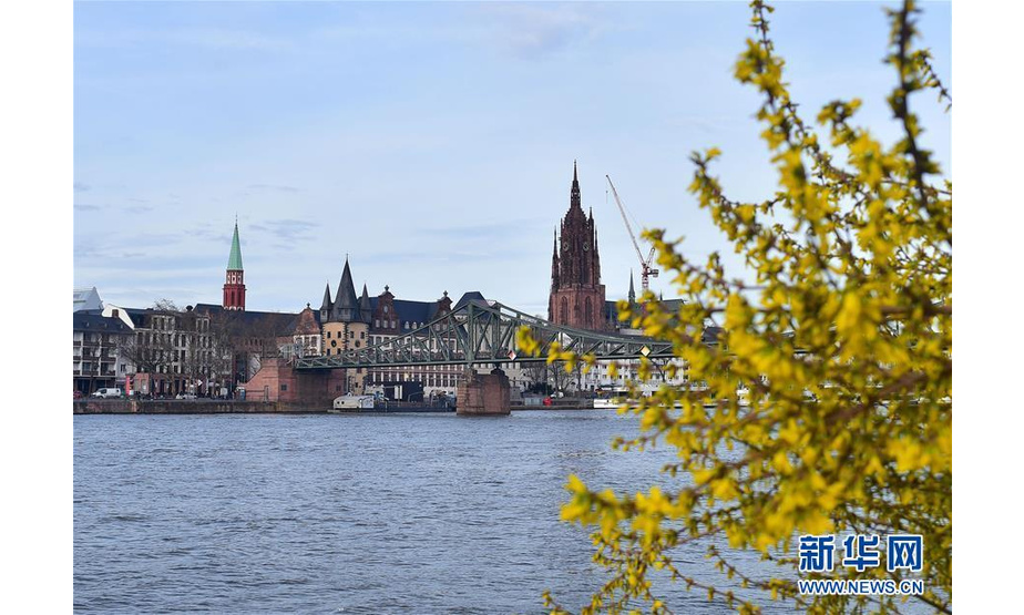 这是3月12日在德国法兰克福拍摄的美因河畔景色。气温回升，严寒远去。德国法兰克福街头的花朵渐次开放，越冬的候鸟归来，人们也感受着春天日益蓬勃的气息。 新华社记者逯阳摄
