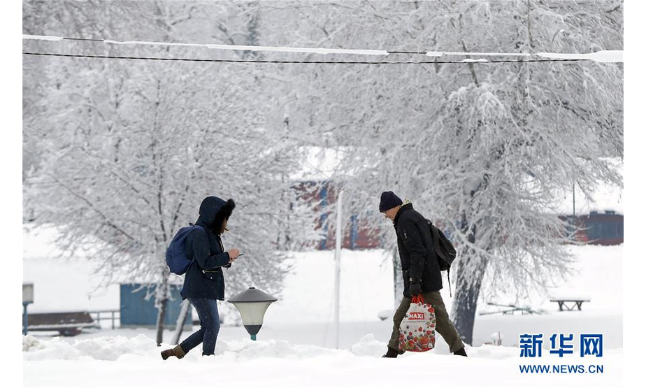 12月16日，在塞尔维亚贝尔格莱德，人们在积雪上行走。新华社发（米洛萨夫列维奇摄）