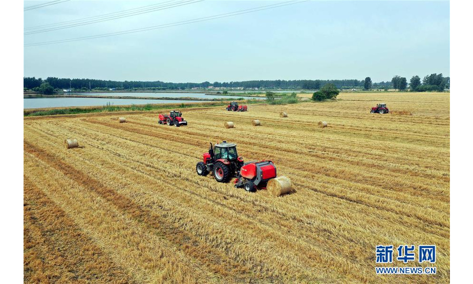 6月12日，在江苏省扬州市宝应县柳堡镇的麦田里，农民驾驶秸秆打捆机回收小麦秸秆（无人机拍摄）。新华社发（沈冬兵 摄）