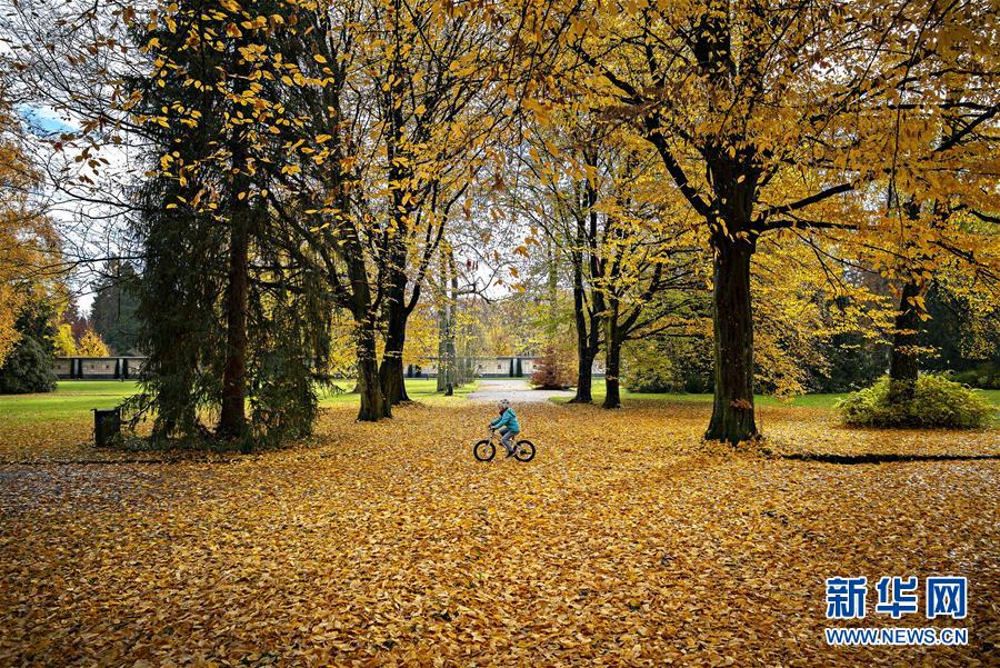 11月12日，在瑞士苏黎世，一名儿童在公园里骑车。 苏黎世位于瑞士中北部，是瑞士最大城市。 新华社发（米歇尔·立米纳摄）