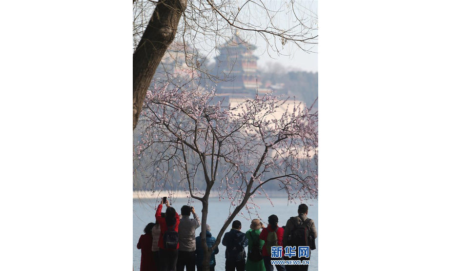 3月17日，游客在北京颐和园拍照。 春日里的颐和园风光旖旎，游人如织。 新华社记者 张传奇 摄