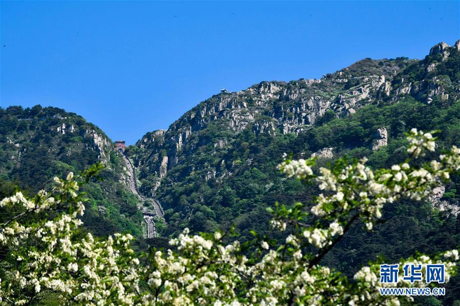这是5月21日拍摄的泰山一角。 泰山位于中国山东省的中部，主峰玉皇顶海拔1545米。初夏的泰山，风景如画，吸引游客前来参观游览。 新华社记者郭绪雷摄