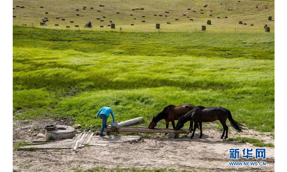 8月14日，牧民在喀拉峻草原上提水喂马。 喀拉峻草原位于新疆伊犁河谷的特克斯县境内，山峦连绵起伏，线条柔美，层次分明，犹如一幅大气磅礴的天然画卷。 新华社记者 胡虎虎 摄