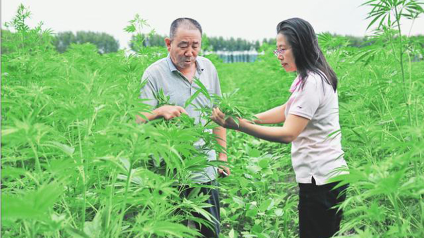 奔跑的“扶贫姐”：“跑”田“跑”水“跑”项目