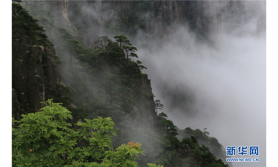  9月2日，在黄山风景区拍摄的的云海景观。