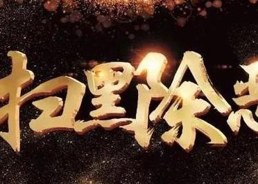  大庆市打出扫黑除恶