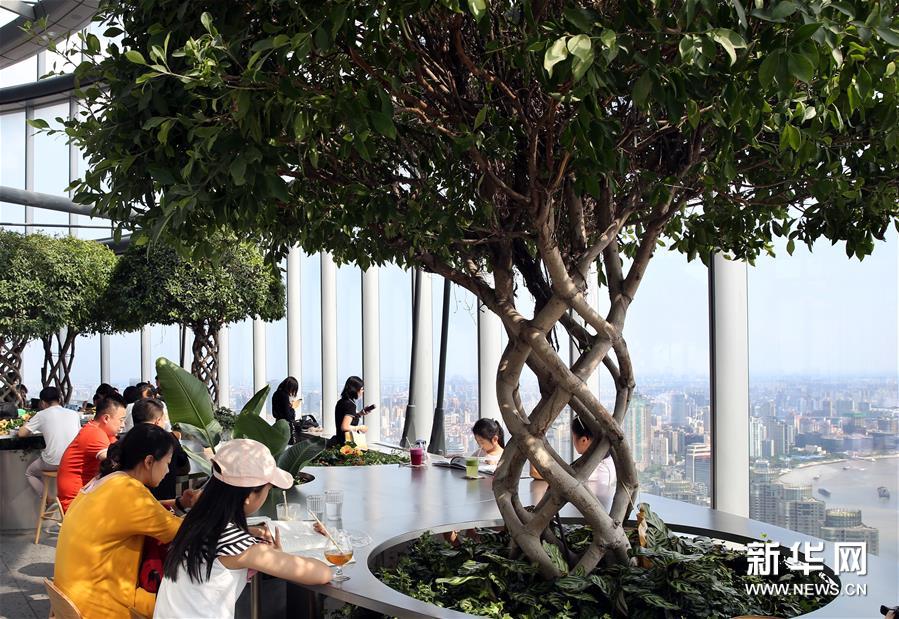 8月12日，顾客在朵云书院内阅读。 当日，位于上海中心大厦52层的朵云书院正式开业。在离地239米的空中、2000多平方米的空间内，朵云书院售卖16000多种、6万多册中外书籍。书店集阅读、艺术展览、品牌文创、社交休闲等多功能于一体，拥有独特的空中视野和“抬头看云、低头看书”的阅读环境。 新华社记者 刘颖 摄