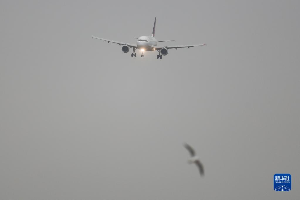 11月30日，一架布鲁塞尔航空的航班即将降落在比利时布鲁塞尔附近的扎芬特姆机场。

　　新冠病毒奥密克戎变异株正在全球引发高度关注。世界卫生组织11月29日说，新冠变异病毒奥密克戎毒株在全球范围造成感染病例激增的风险“非常高”，并可能给部分地区带来“严重后果”。目前，多个国家和地区陆续通报发现奥密克戎毒株感染或疑似病例。新华社记者 郑焕松 摄