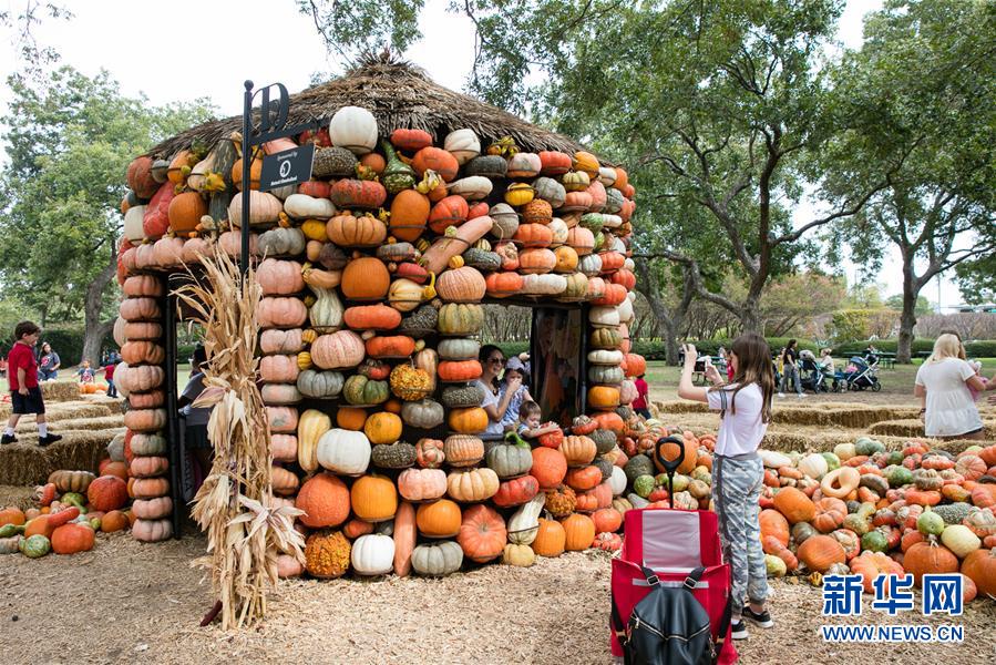 10月10日，在美国得克萨斯州达拉斯植物园的“南瓜小镇”，小女孩为家人拍照。 美国得克萨斯州达拉斯市植物园每年秋天都要搭建一座“南瓜小镇”，今年的“南瓜小镇”以美国著名漫画人物查理·布朗和他的小伙伴们为主题。 新华社发（田丹摄）