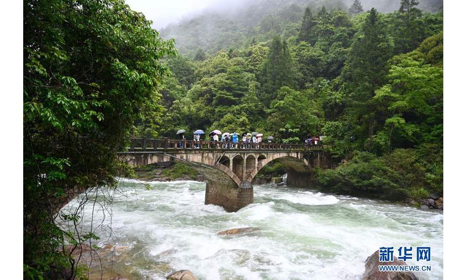 5月18日，游客在武夷山国家公园九曲溪游览。

　　近日，福建武夷山地区迎来持续降雨。山林在雨水的润泽下，更显秀美。

　　新华社记者 姜克红 摄

