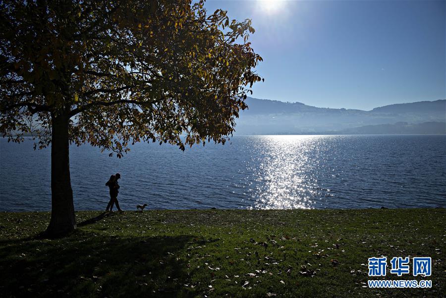 这是11月12日在瑞士苏黎世湖畔拍摄的深秋景色。 苏黎世位于瑞士中北部，是瑞士最大城市。 新华社发（米歇尔·立米纳摄）