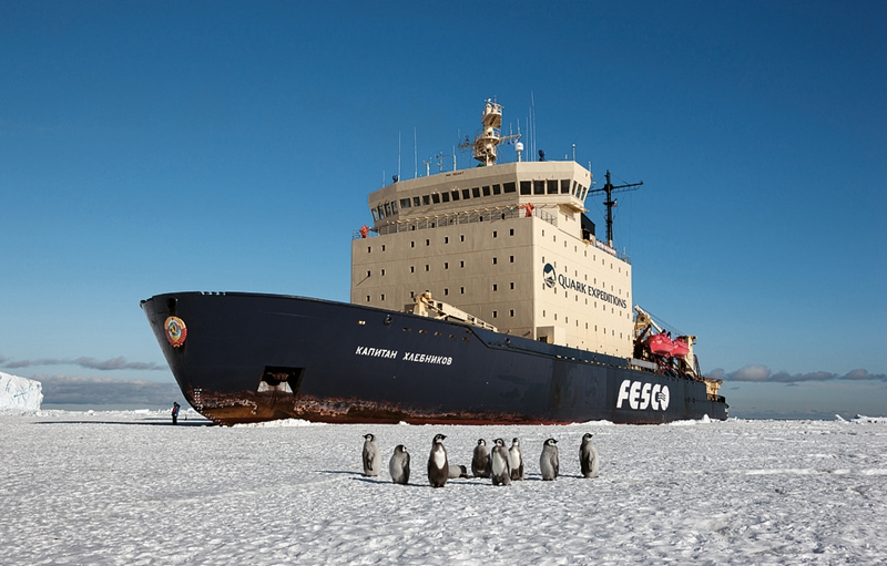休来自威尔士，为BBC拍摄纪录片已经有11年了。她参与拍摄的纪录片包括《蓝色星球》、《地球脉动》等，到北极和南极的次数多达50次。