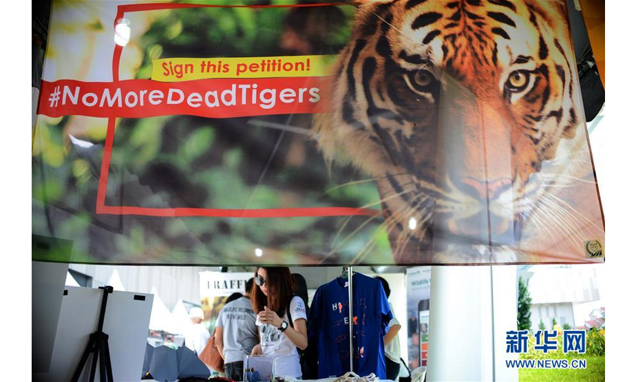3月17日，在马来西亚吉隆坡，参观者在野生动物保护展览活动上观看展览。为了配合本月初的“世界野生动植物日”，马来西亚自然资源部当天举行活动，通过现场展示、游戏互动等方式提升民众对马来虎等野生动物的保护意识。马来西亚自然资源部官员17日在吉隆坡表示，目前马来西亚野生马来虎数量估计只有约250只，马来西亚将加强采取措施打击偷猎行为。新华社发（张纹综摄）