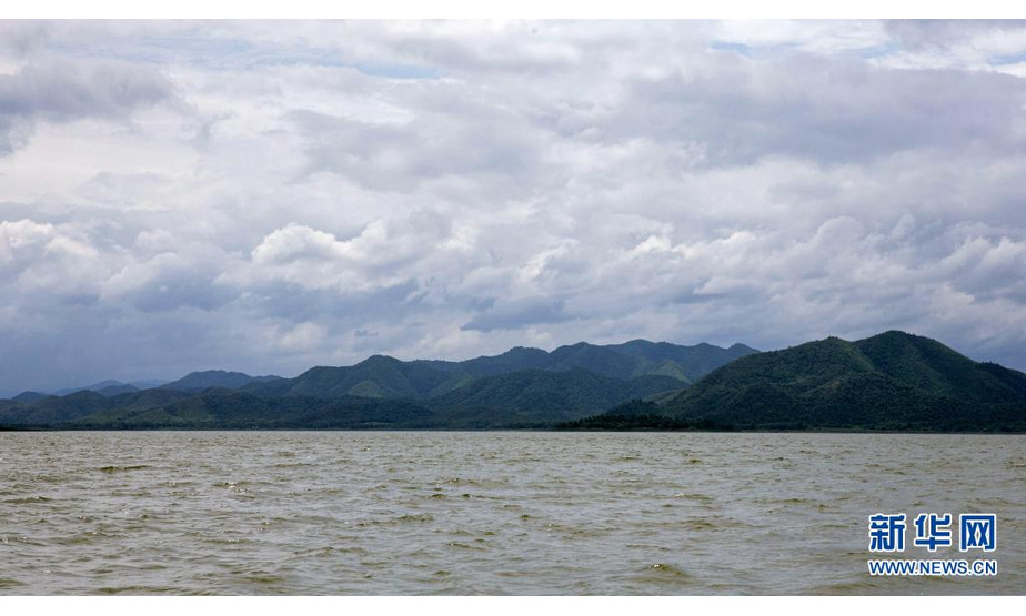这是8月6日拍摄的泰国岗卡章森林保护区。

　　在中国福州举行的第44届世界遗产大会上，泰国岗卡章森林保护区被列入联合国教科文组织《世界遗产名录》。

　　新华社记者 王腾 摄