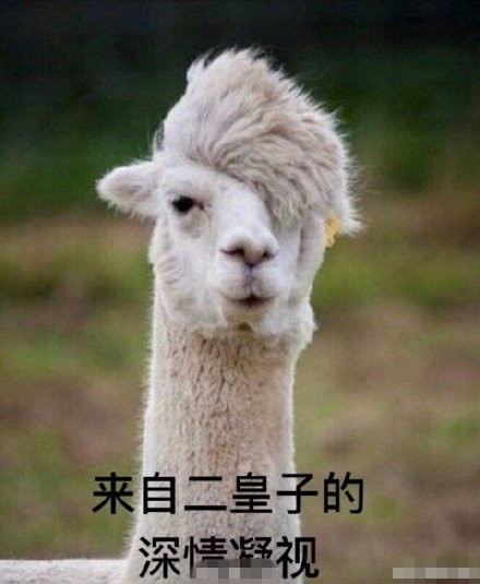 随后,又有网友晒出一张羊驼版"二皇子",引发爆笑.