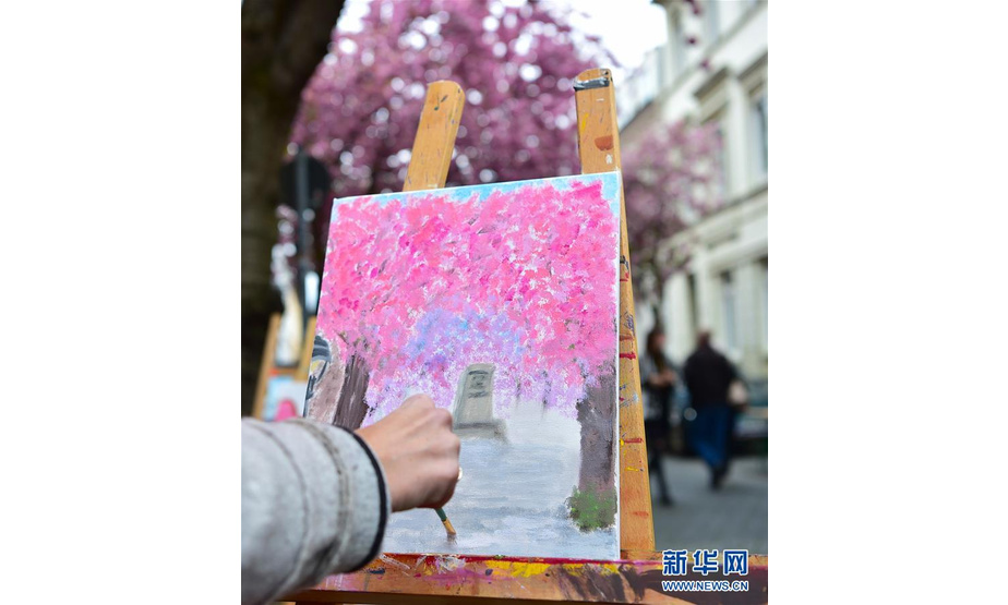 4月12日，在德国波恩市，一名女子在盛开的樱花前写生。 新华社记者逯阳摄
