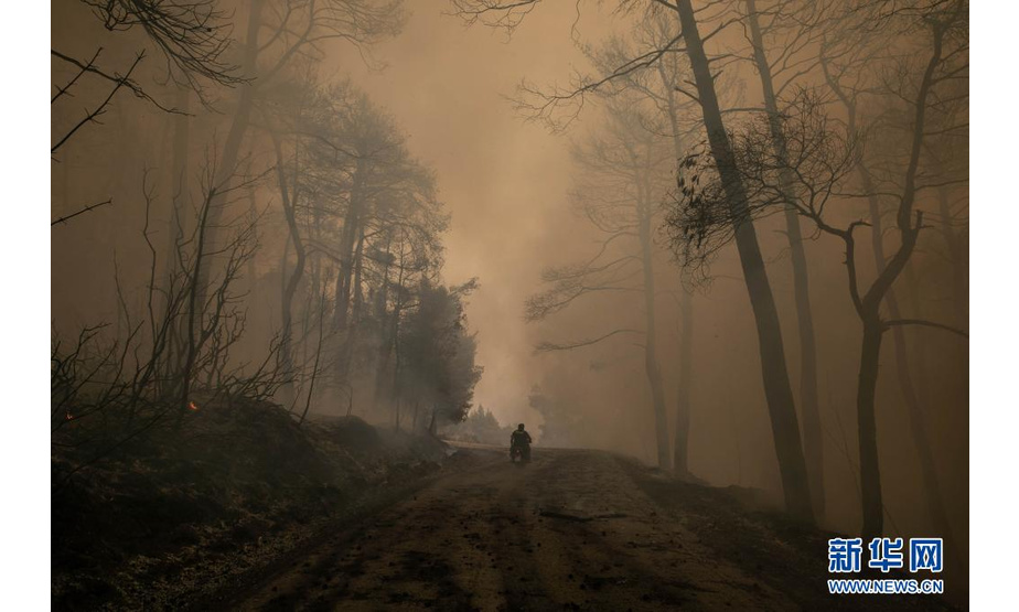 8月5日，在希腊埃维亚岛，山火产生的烟雾笼罩道路。

　　希腊总理基里亚科斯·米佐塔基斯5日表示，在经历多日极端高温天气后，希腊正在应对多起山火，形势“极其危急”。

　　新华社发（莱夫泰里斯·帕特萨利斯摄）
