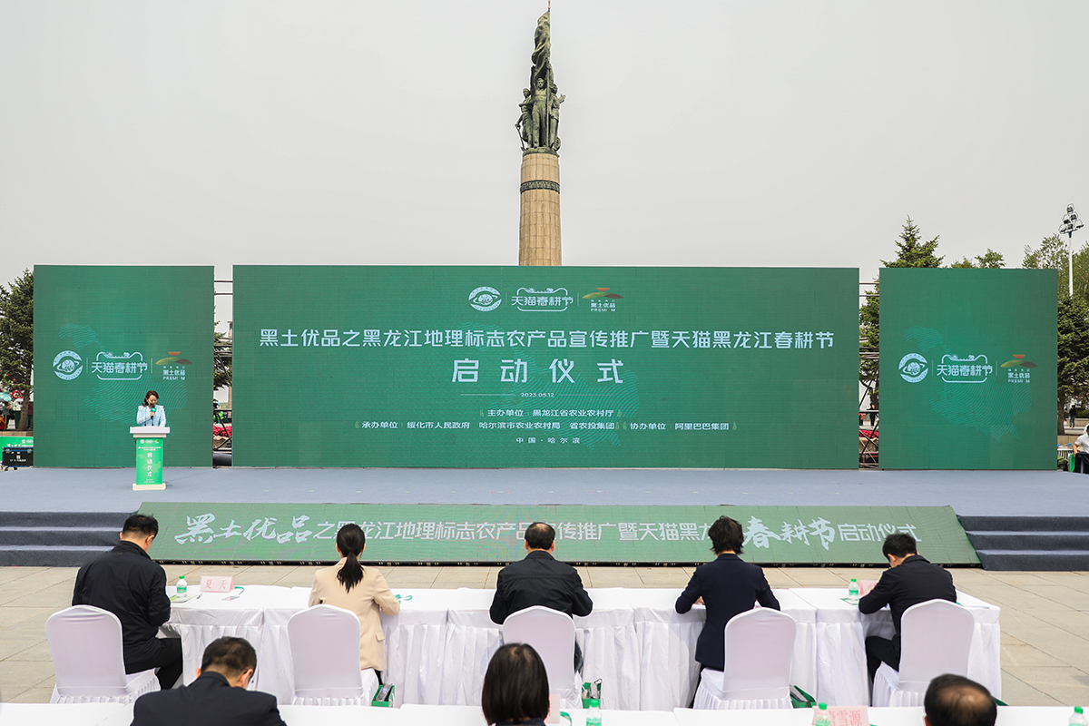 文化之光闪耀德阳：探访文化传播公司的创新之路