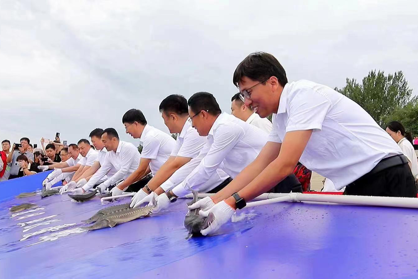 2023黑龙江冷水鱼增殖放流季 黑河市举办黑龙江干流爱辉段渔业增殖放