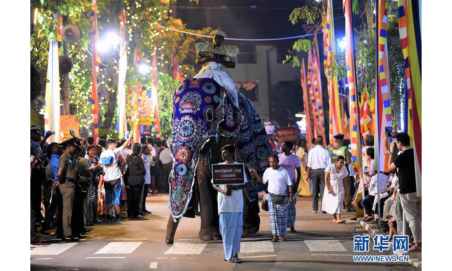 　2月18日，在斯里兰卡首都科伦坡，身披深蓝色花纹镶边织物的“坎贾纳”作为“领头象”第一个在观众面前亮相。 位于斯里兰卡首都科伦坡市中心的贝拉湖畔平日里行人不多、十分安宁。不过，在每年2月佛教节日“纳瓦姆月圆节”期间，这里都会因一些远方“贵宾”安营扎寨而失去以往的宁静，它们就是受邀参加月圆节游行的几十头大象。 新华社发（伊沙拉·科迪卡拉 摄）