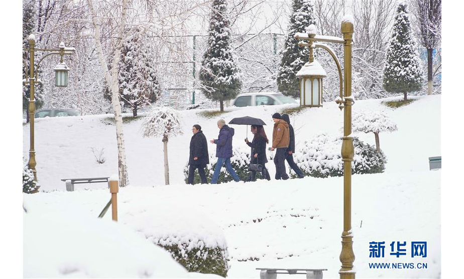 1月13日，在乌兹别克斯坦首都塔什干，人们在雪后出行。新华社发（扎法尔摄）