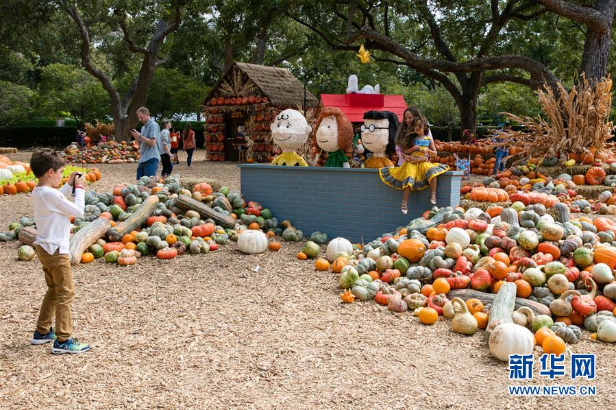 10月10日，在美国得克萨斯州达拉斯植物园的“南瓜小镇”，一名男孩为家人拍照。 美国得克萨斯州达拉斯市植物园每年秋天都要搭建一座“南瓜小镇”，今年的“南瓜小镇”以美国著名漫画人物查理·布朗和他的小伙伴们为主题。 新华社发（田丹摄）