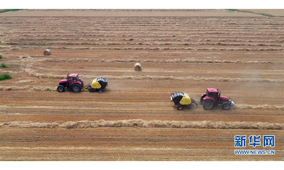 在河北石家庄新乐市承安铺村，新乐市助农种植专业合作社农民利用机械将小麦秸秆打捆（6月17日无人机摄）。新华社发（贾敏杰 摄）