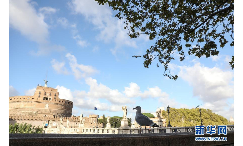 11月4日，在意大利首都罗马，一只海鸥站在台伯河畔。 连日阴雨后，罗马迎来了好天气，人们纷纷来到户外享受秋日的阳光与美景。 新华社记者程婷婷摄