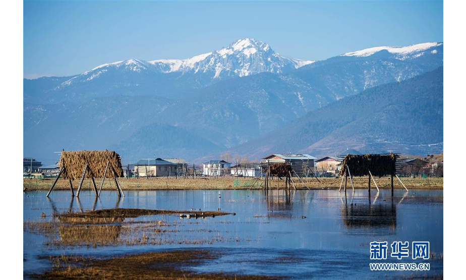 　　这是香格里拉市纳帕海自然保护区的风光（3月14日摄）。 香格里拉市位于云南省迪庆藏族自治州。春日的香格里拉，美景如画。 新华社记者 胡超 摄


