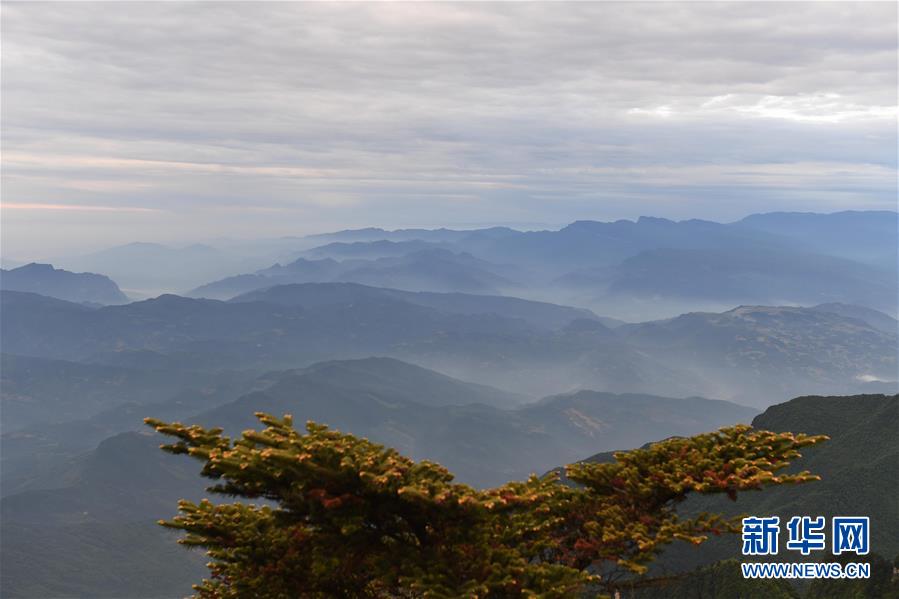 这是峨眉山云海（5月22日摄）。初夏，四川省峨眉山花红树绿，山川景色秀丽壮观。新华社记者杨宗友摄