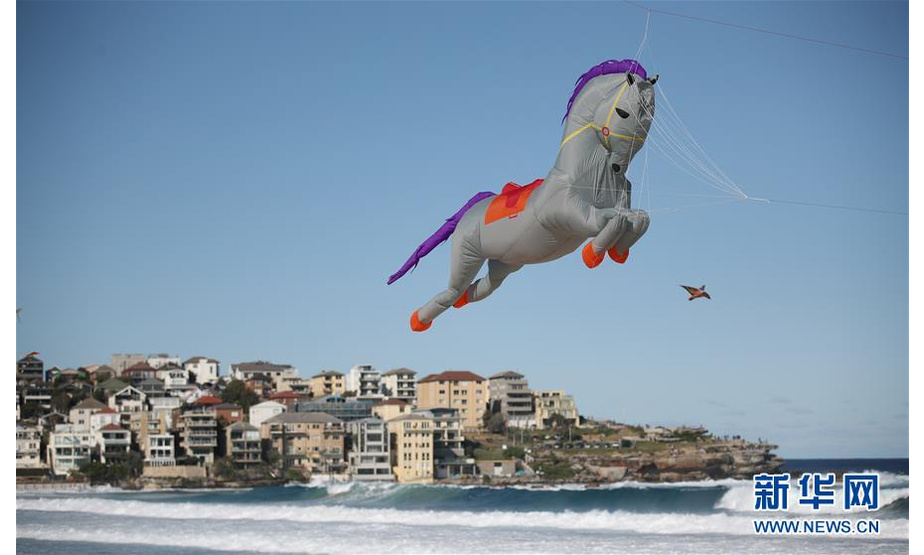 这是9月8日在澳大利亚悉尼邦迪海滩拍摄的风筝节现场。 当日，一年一度的风筝节在澳大利亚悉尼的邦迪海滩举行，吸引大量市民前来观看。 新华社记者 白雪飞 摄